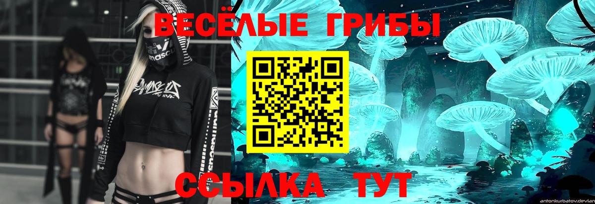 Галлюциногенные грибы GOLDEN TEACHER  Вход с VPN  Рязань 